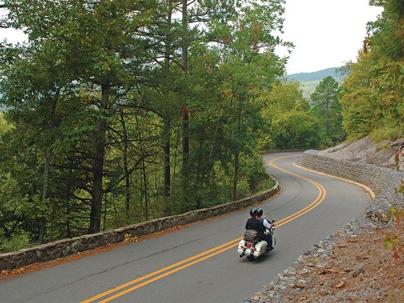 Motorcyclist rides along a winding, tree-lined road.