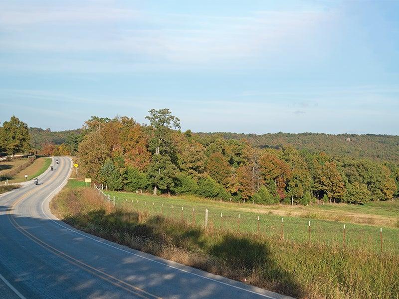 Curving rural road beside a field and autumn trees under a clear sky.