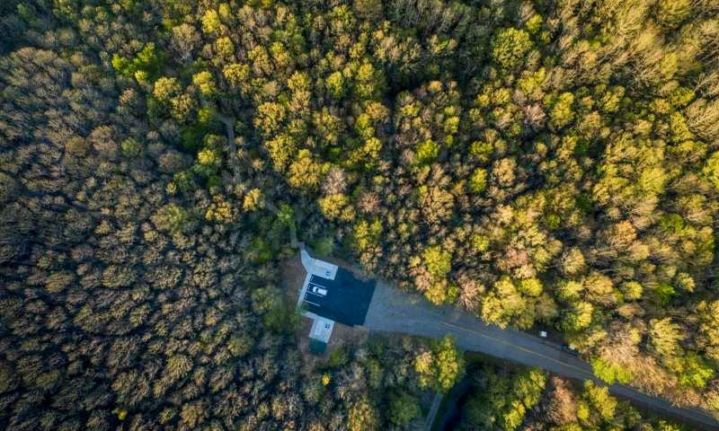 Louisiana Purchase State Park