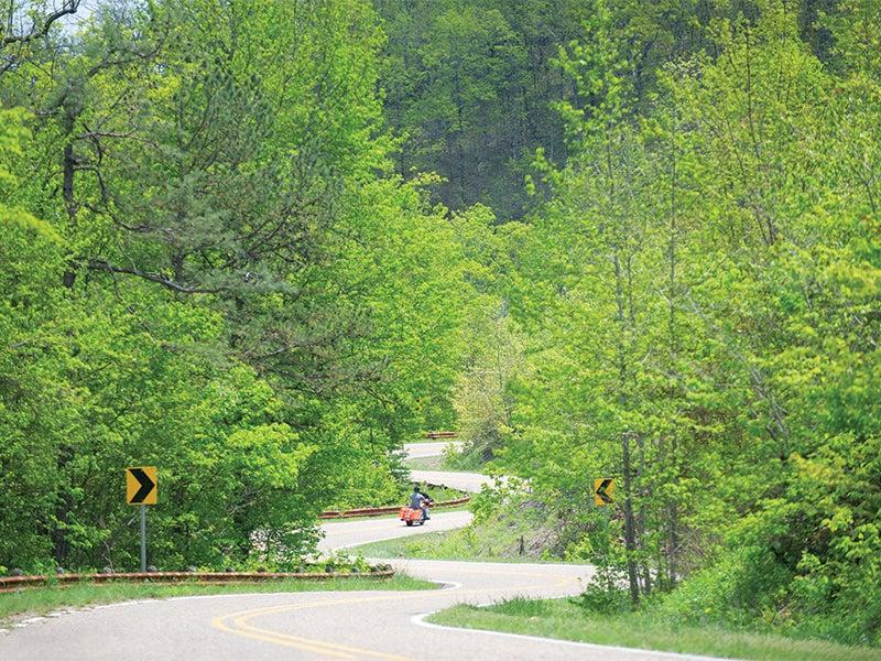 Winding road through lush green forest, with a motorcycle in the distance.