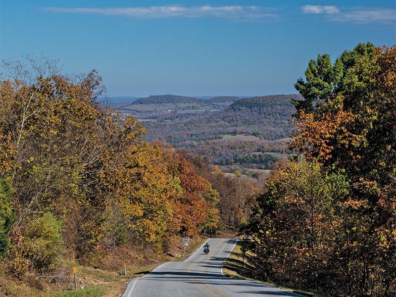 Road through autumn trees under a clear blue sky.