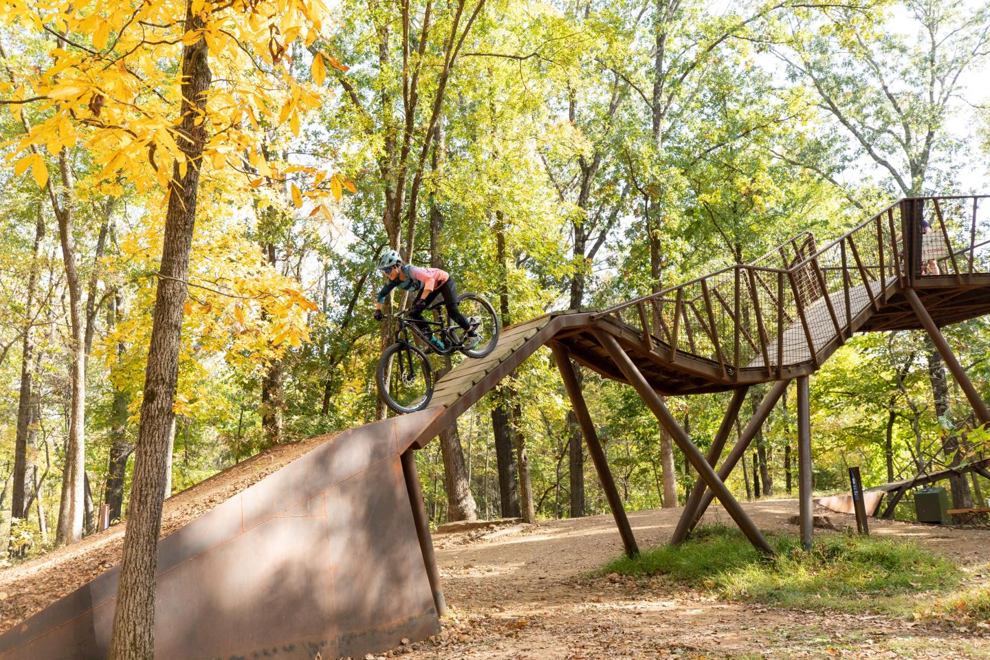 Cyclist on a wooden ramp in a sunny, forested park.