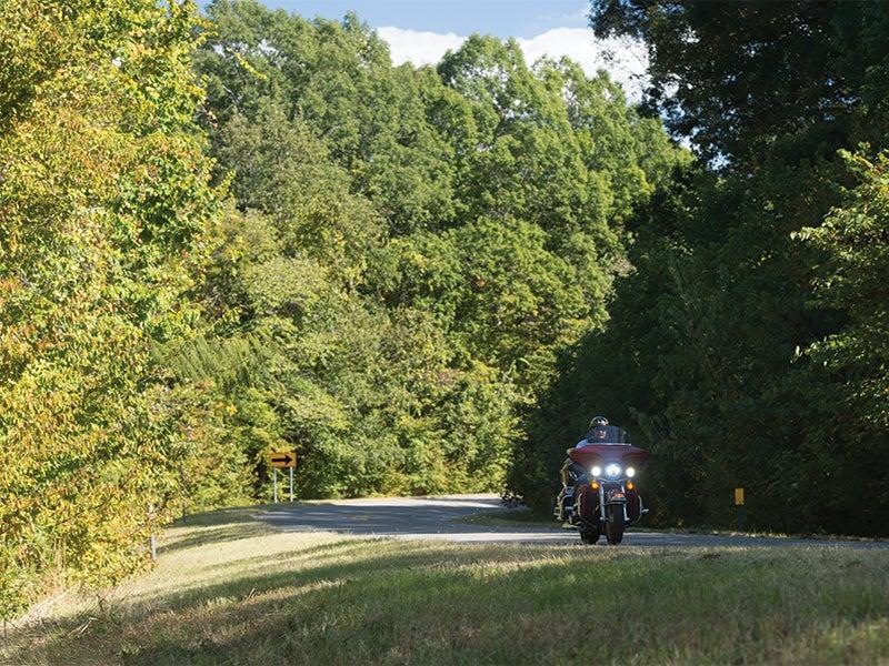 Motorcyclist rides through a scenic, tree-lined road.