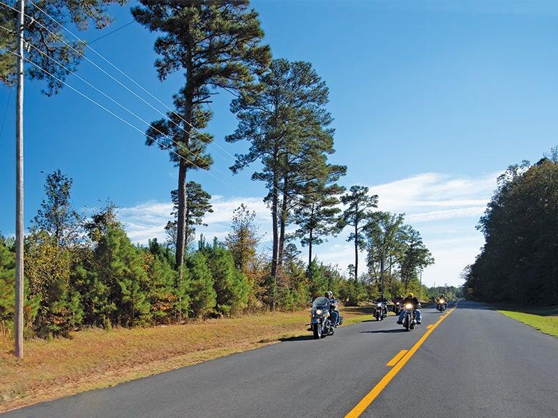 Motorcyclists ride on a country road lined with tall trees under a clear blue sky.