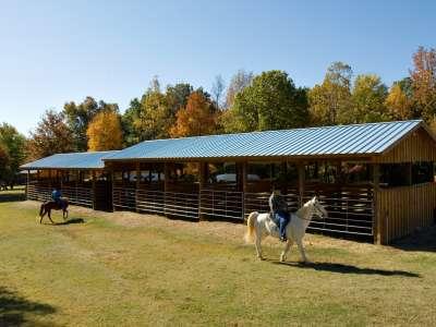 Village_Creek_Horses_and_Fall_Color02 (1)