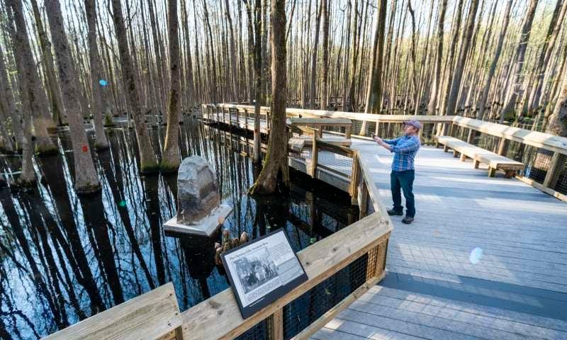 Louisiana Purchase State Park