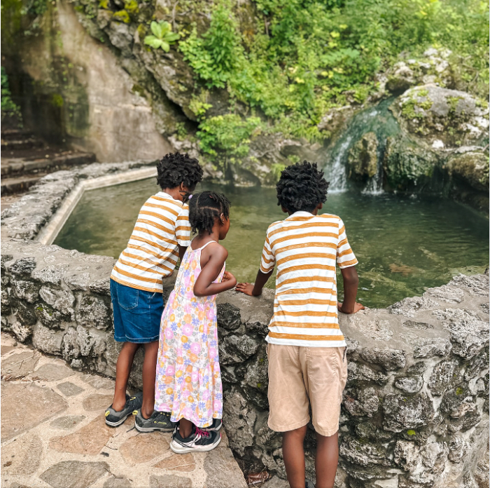 Three children looking into a stone pond surrounded by greenery.