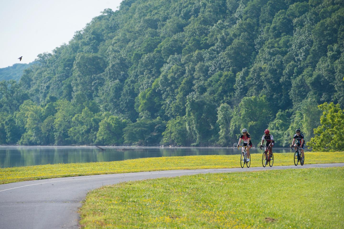 Cyclists on a path by a lake, surrounded by lush green trees.