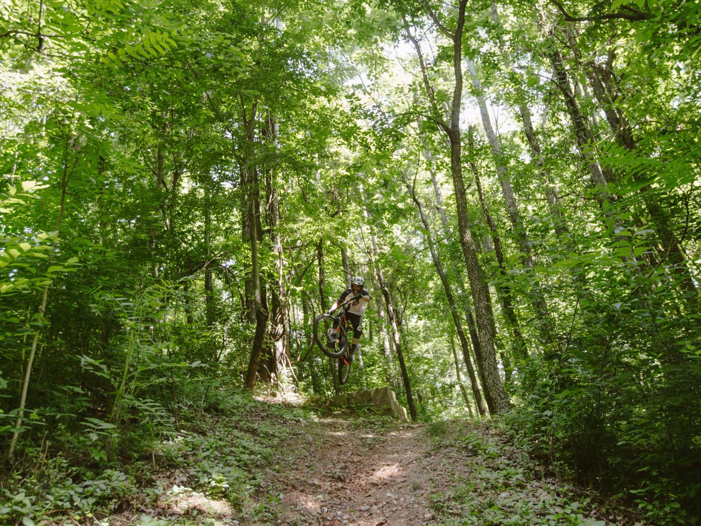 Mountain biker jumping in a lush green forest.