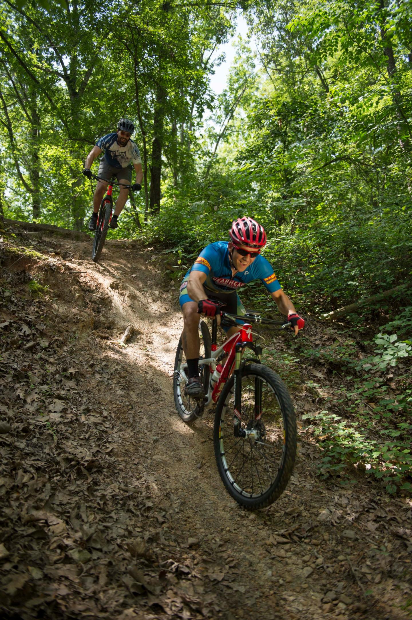 Two cyclists ride down a forested trail.