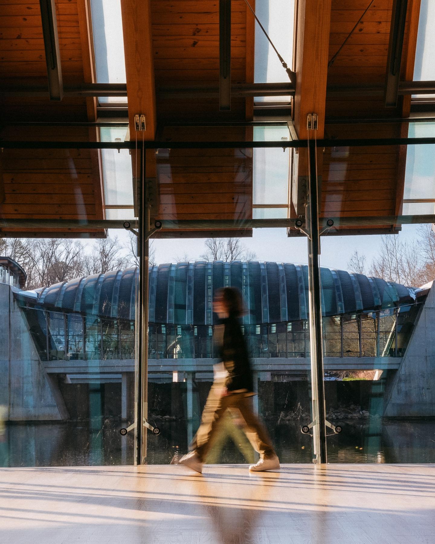 Person walking inside a modern building with wooden ceiling beams.