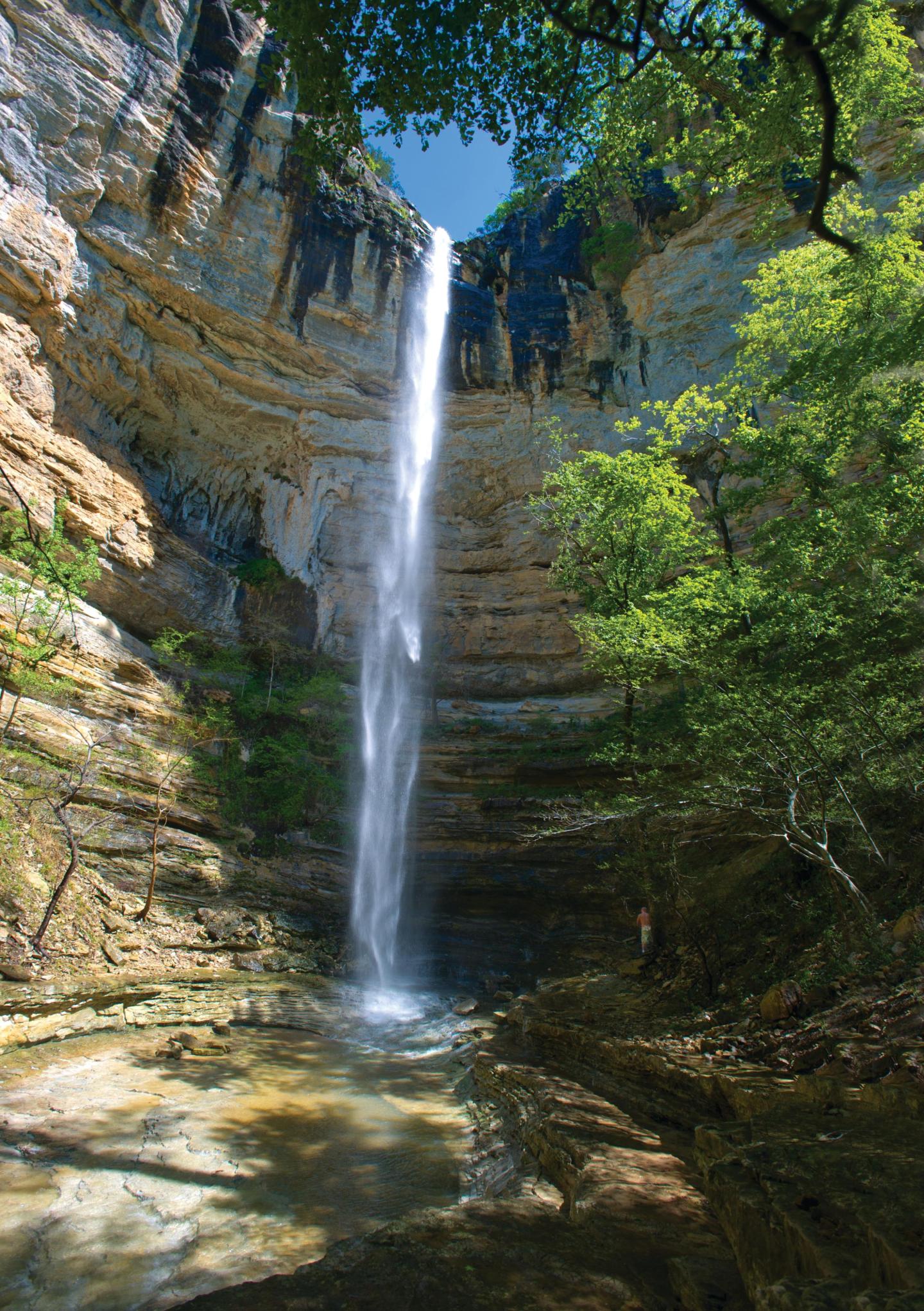 Waterfall cascading into a serene, sunlit forest pool amidst rocky cliffs.
