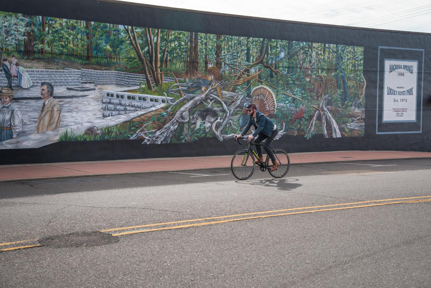 Cyclist rides past a mural depicting a forest scene on a sunny day.