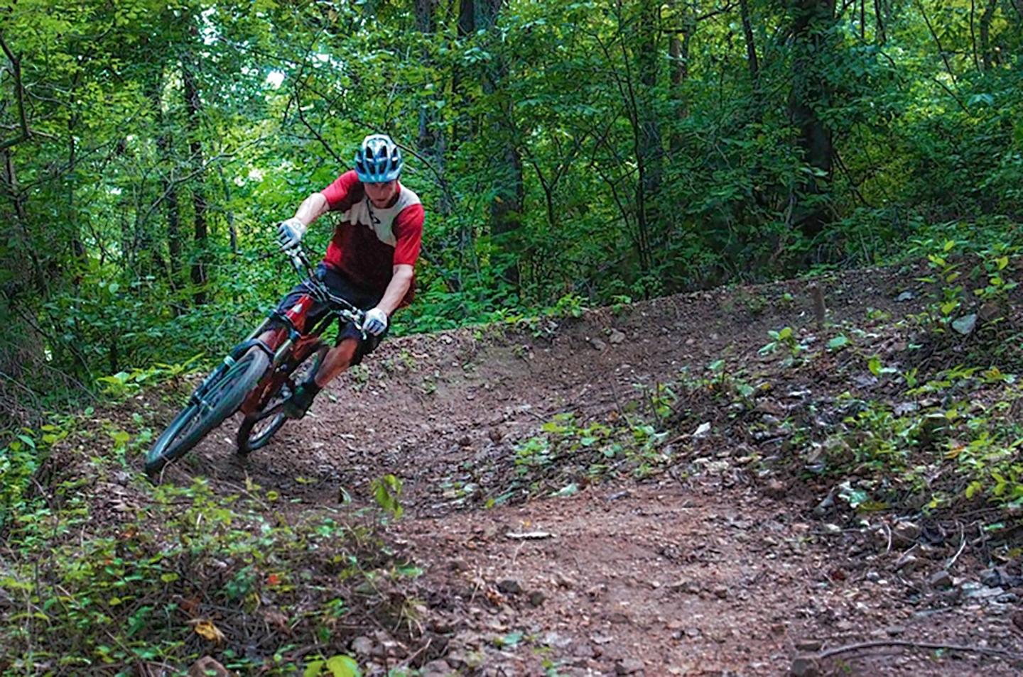 Mountain biker on a trail in a lush green forest.