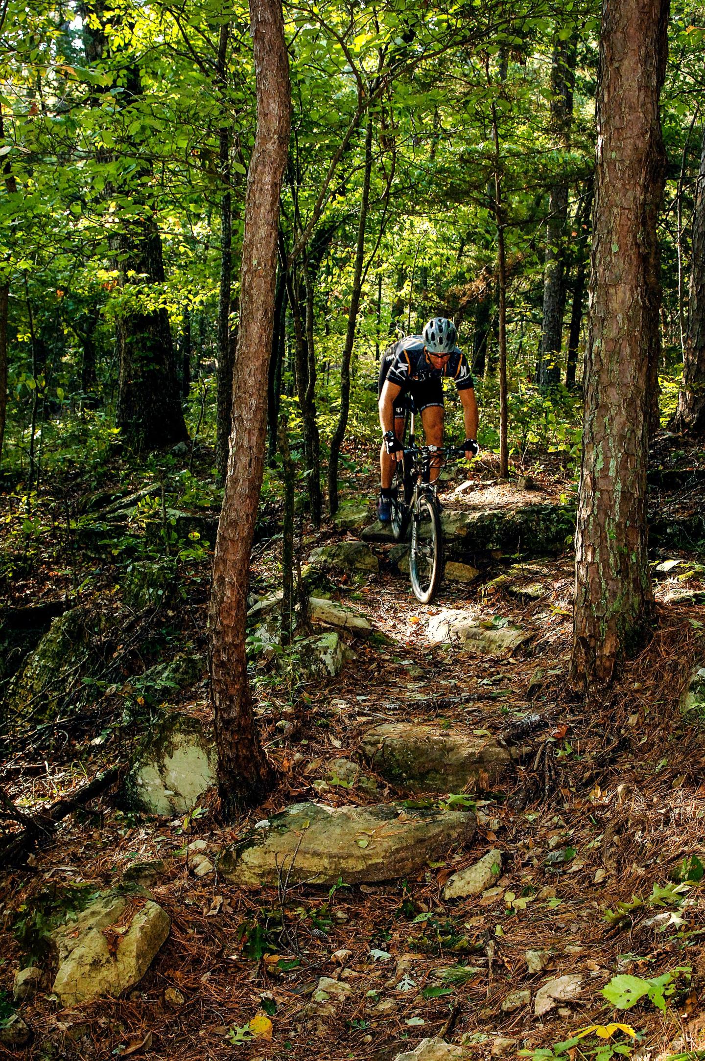 Cyclist navigating a rocky forest trail.