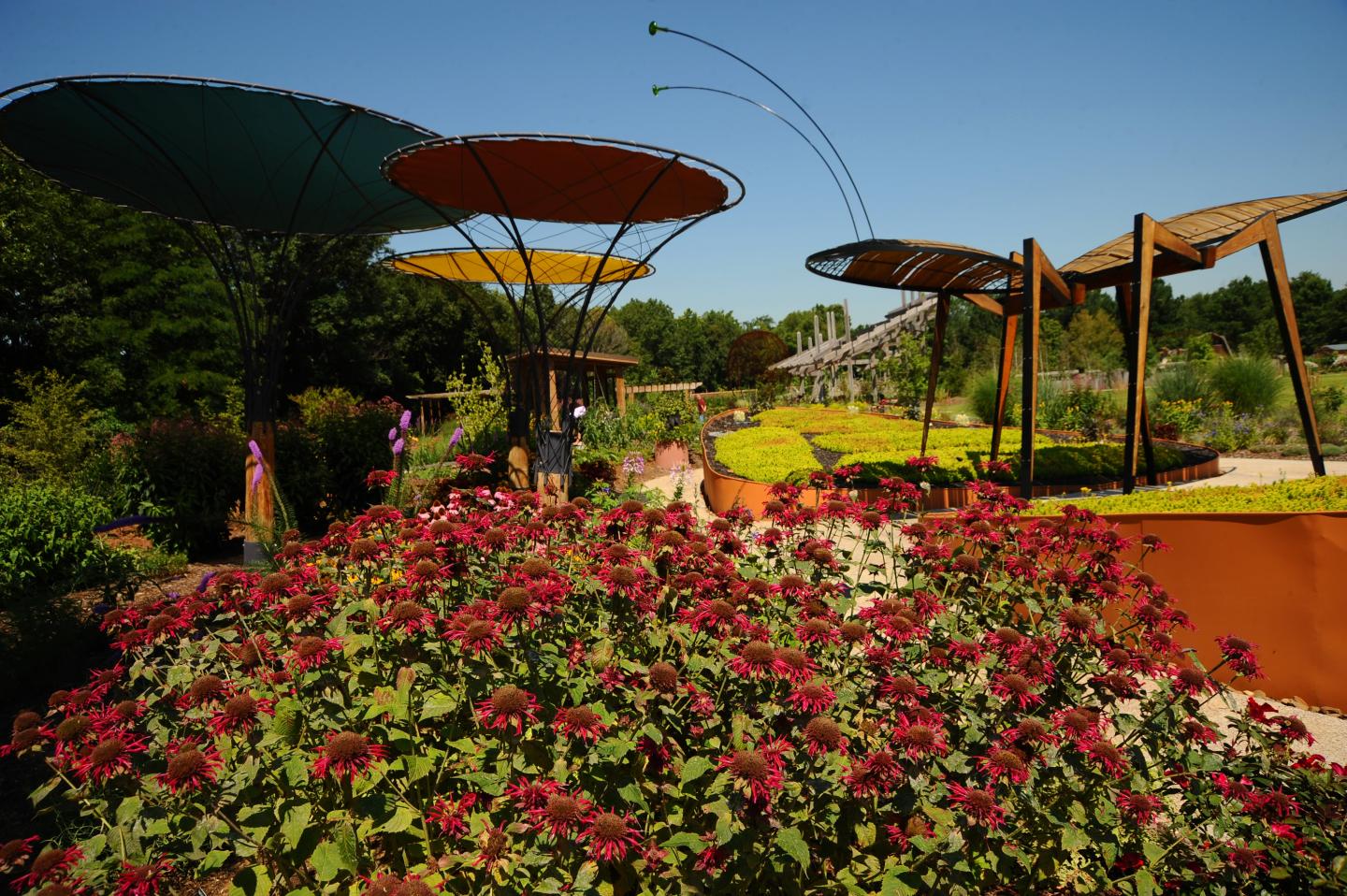 Botanical Garden of the Ozarks