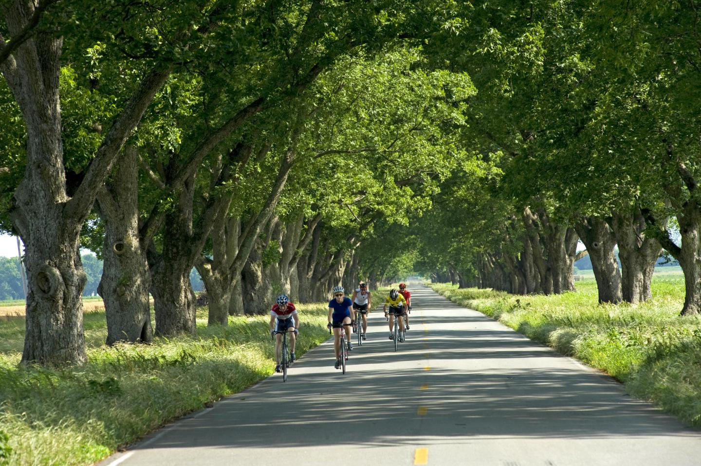 Cycling the Harper's Loop