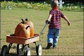 BoBrook Farms &amp;amp; River Bottom Winery