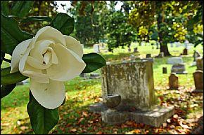 Maple Hill Cemetery &amp; Helena Confederate Cemetery