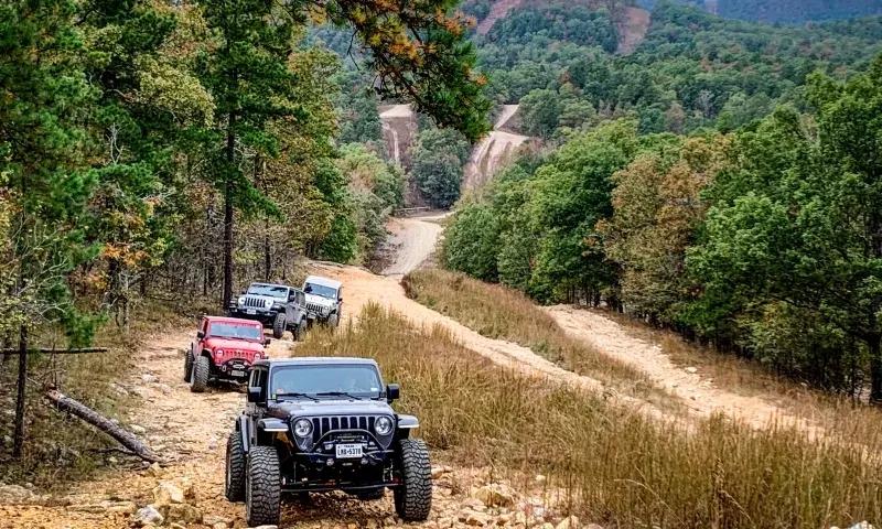 Off-road vehicles on a dirt trail through a forested landscape.