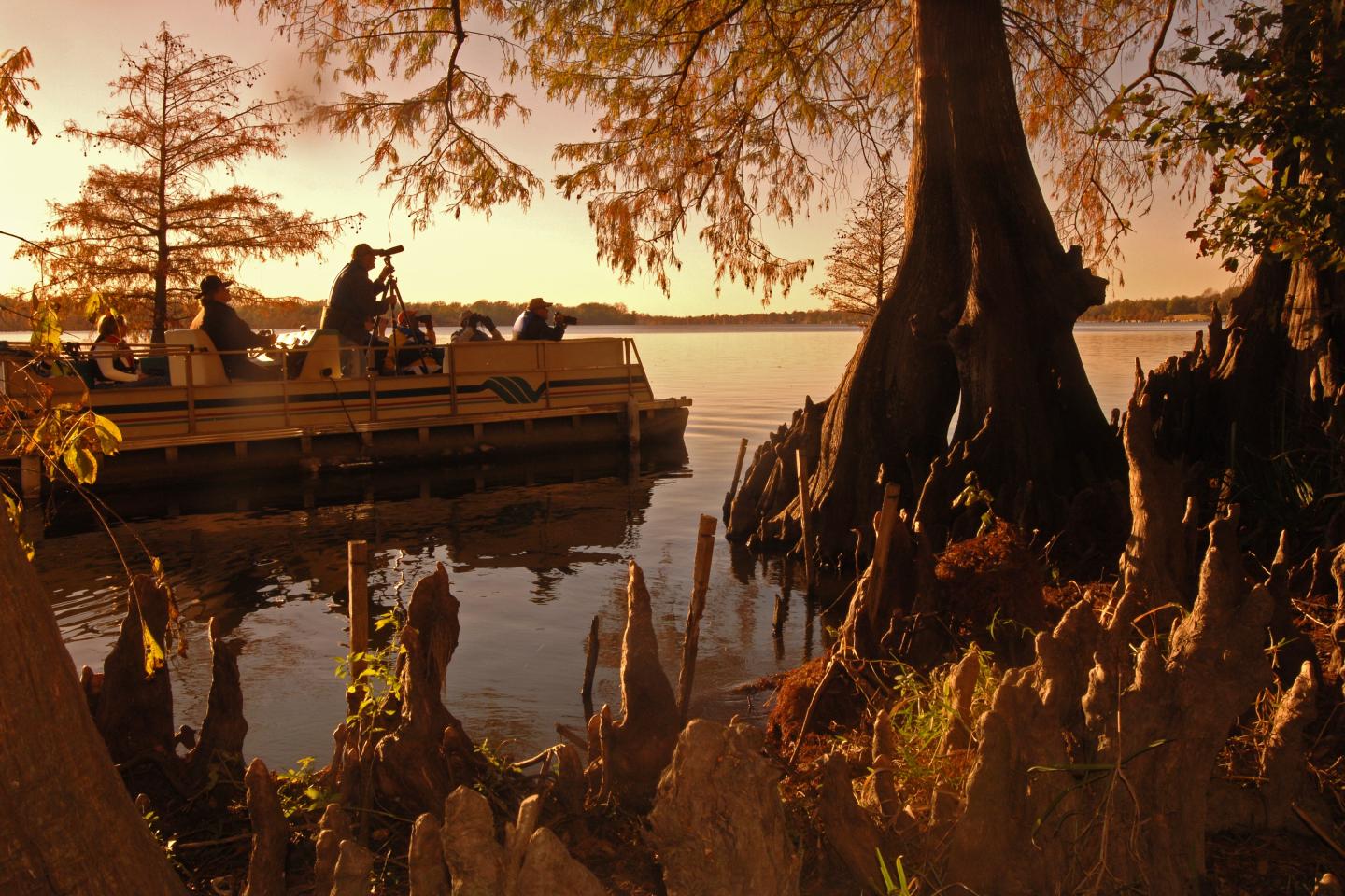 Go wildlife watching on a barge tour