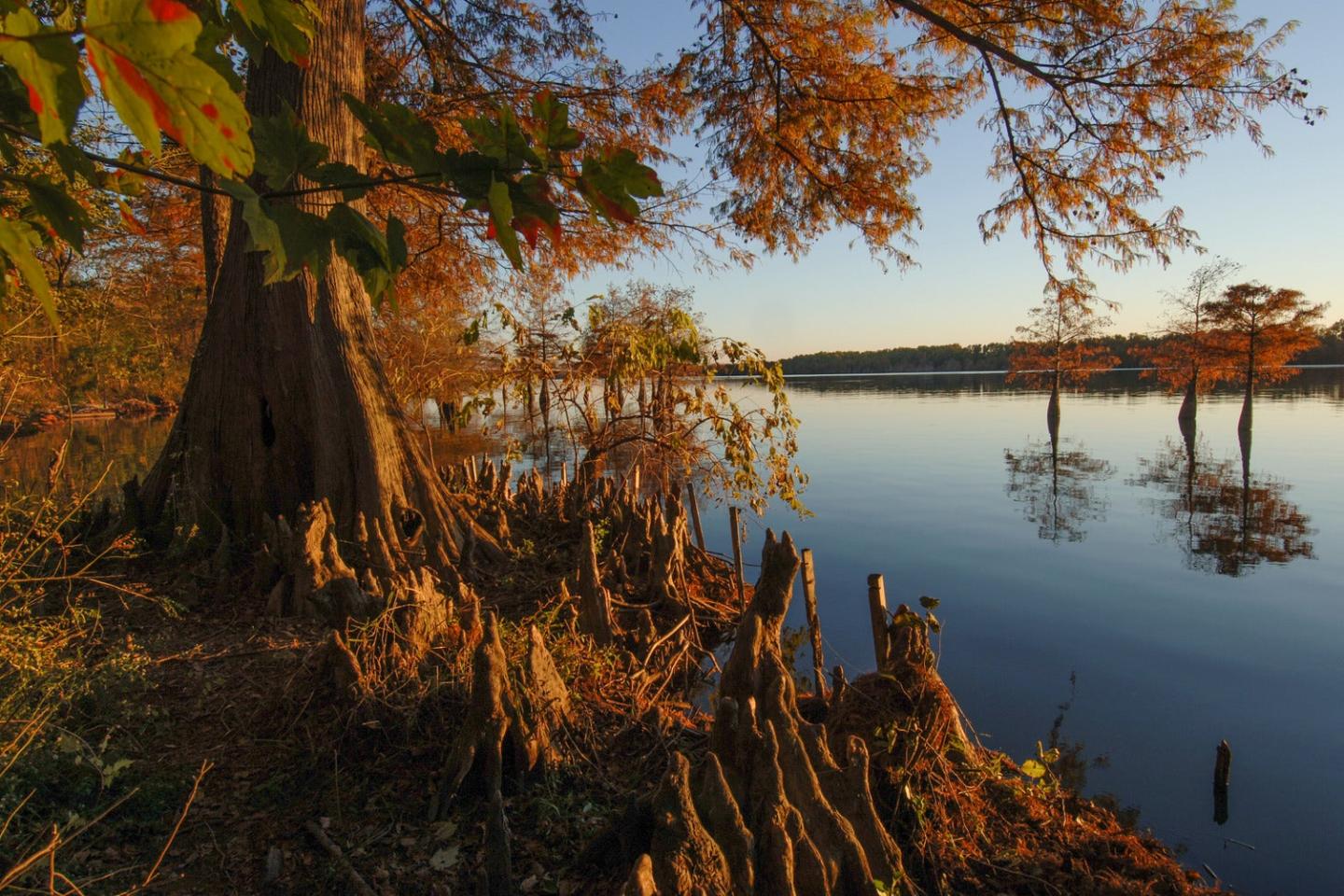 Lake Chicot State Park