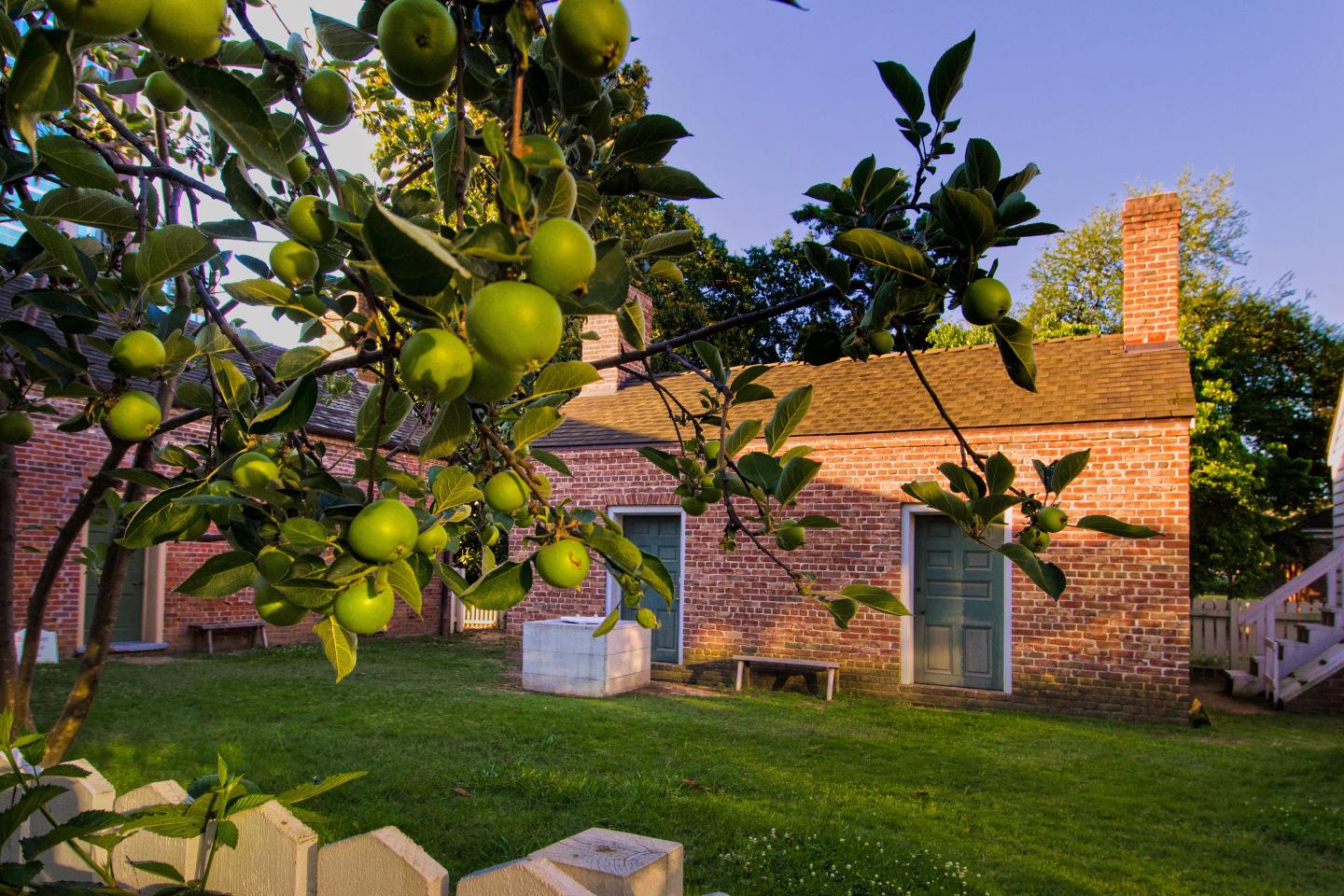 Historic Arkansas Museum