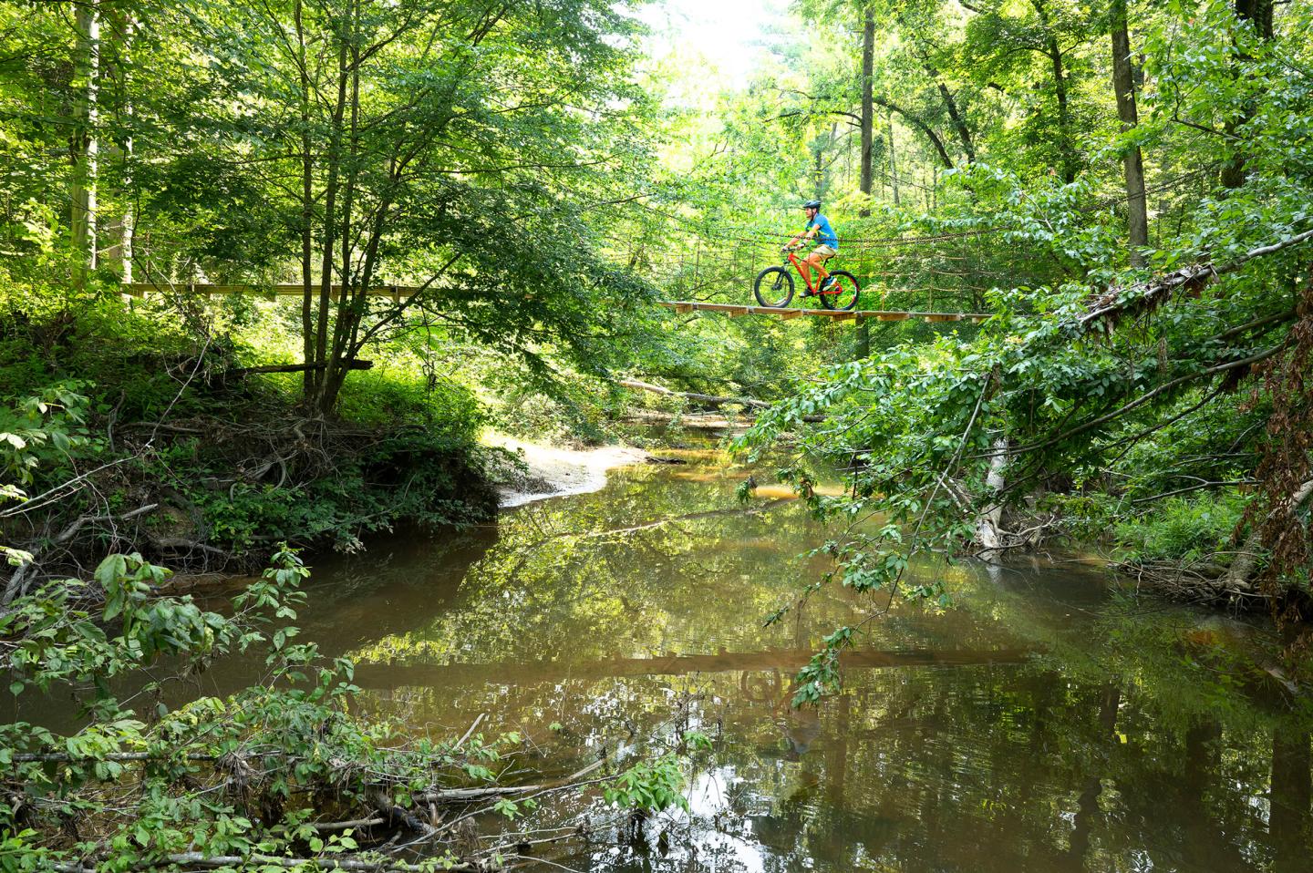 Cyclist rides over a bridge in a lush, green forest above a calm creek.