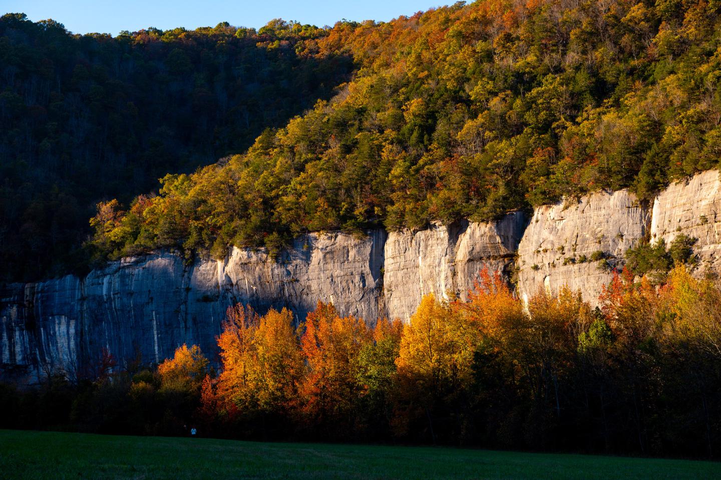 Cliff with autumn trees beneath, sunlight casting shadows.