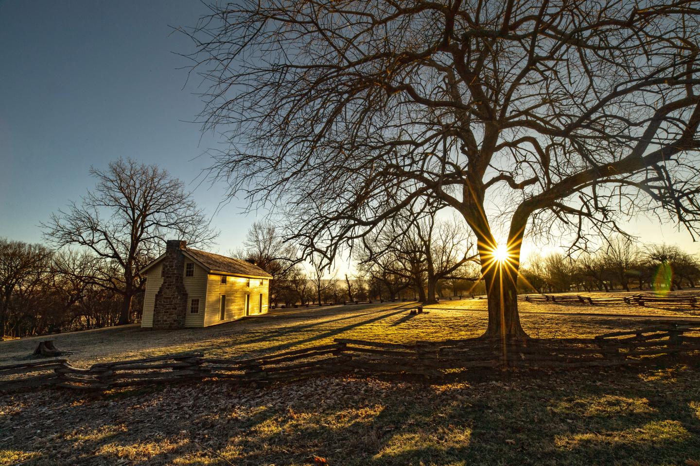 Sunset behind a large tree, house and fence in the foreground.