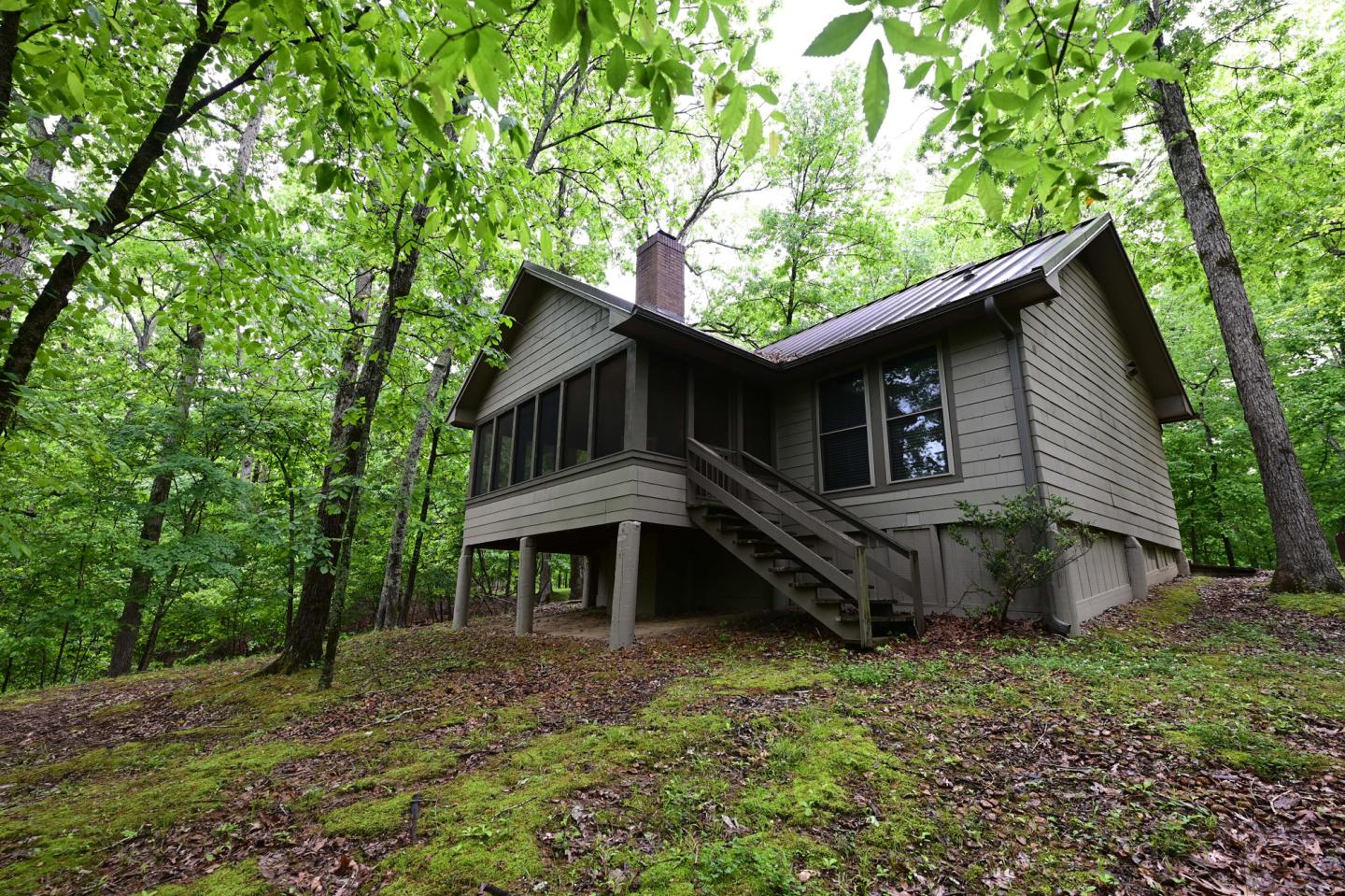 Cabin surrounded by lush green trees in a forest setting.