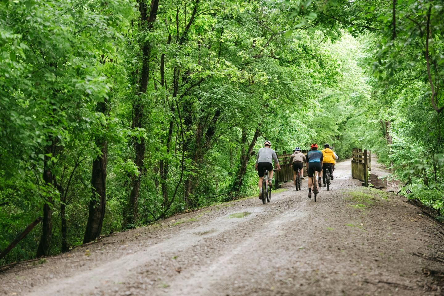 Cyclists ride on a tree-lined path through a lush, green forest.