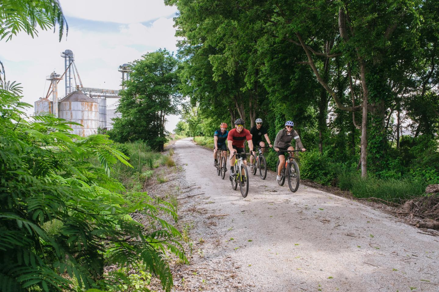 Cyclists riding on a tree-lined gravel path.