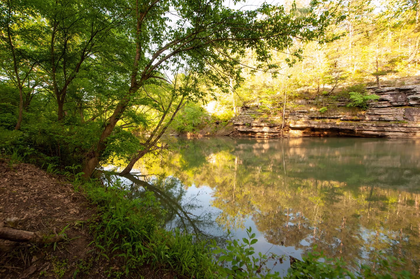 Calm river with rocky bank, surrounded by lush green trees.