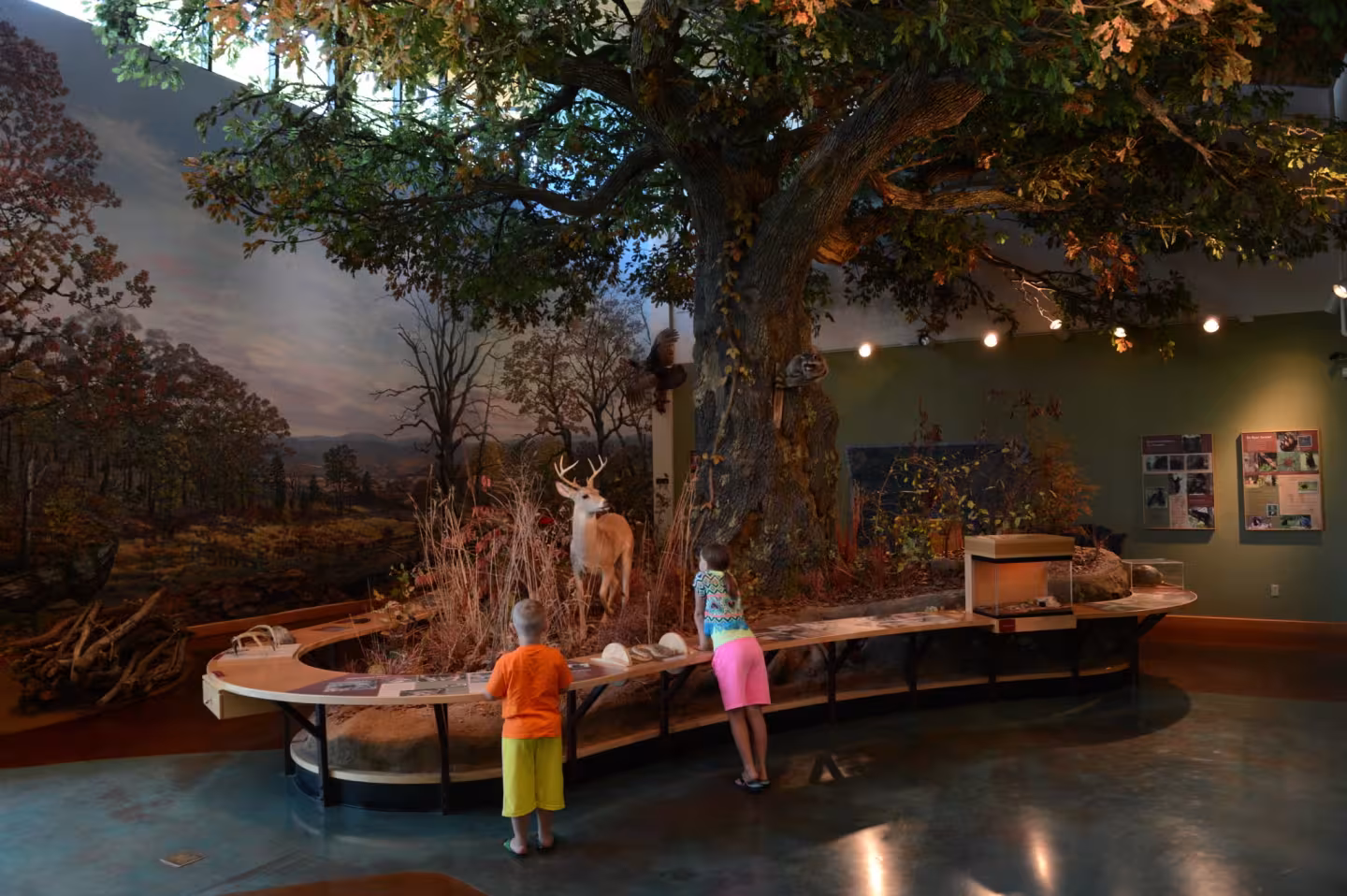 Children observing a large tree display indoors.