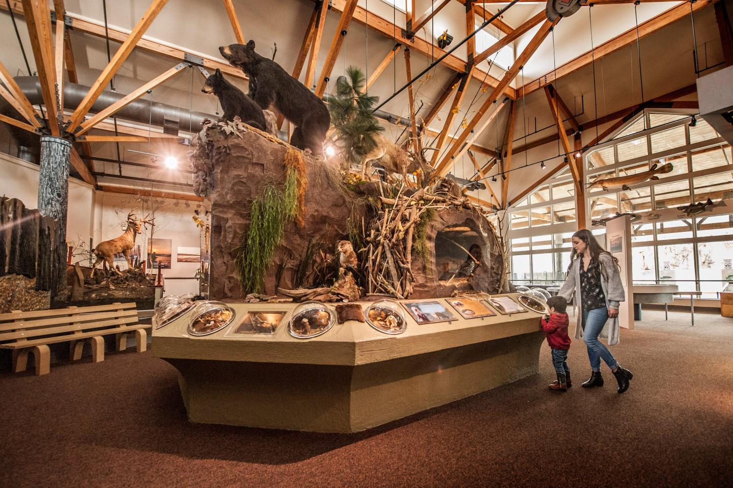 Interior at Governor Mike Huckabee Delta Rivers Nature Center