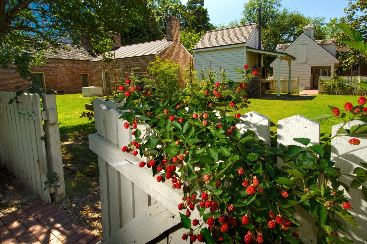Historic Arkansas Museum