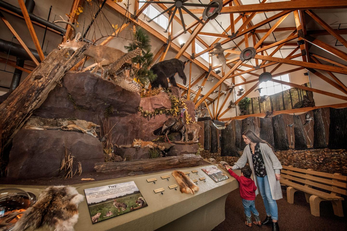 Interior at Governor Mike Huckabee Delta Rivers Nature Center