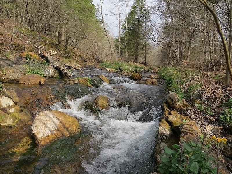 Rock Creek Natural Area