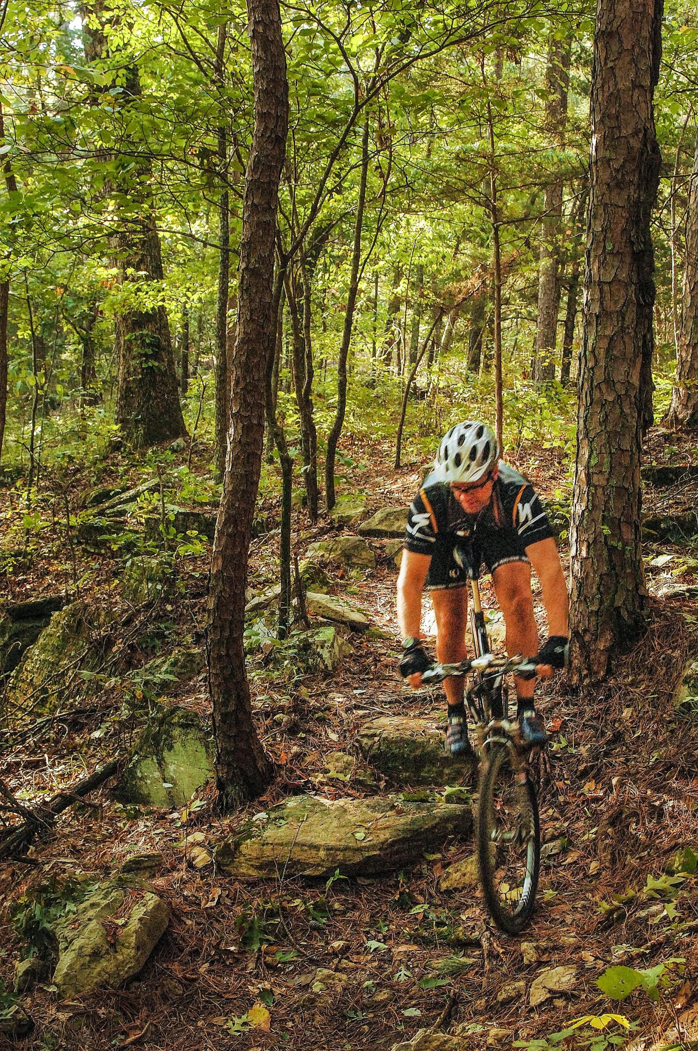 Mountain biking the Syllamo Bike Trail
