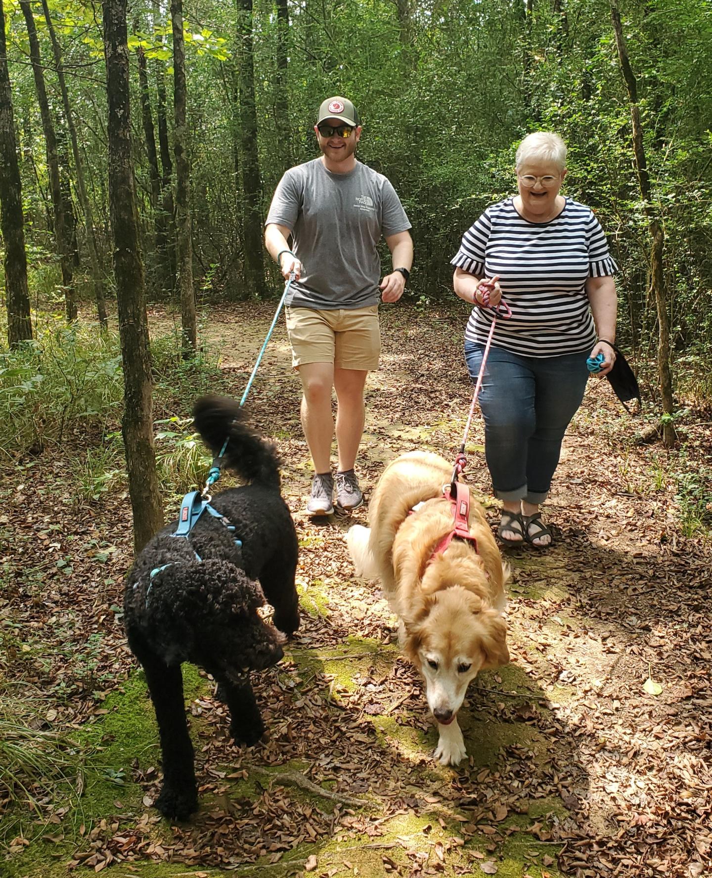 Two people walking two dogs on a forest trail.