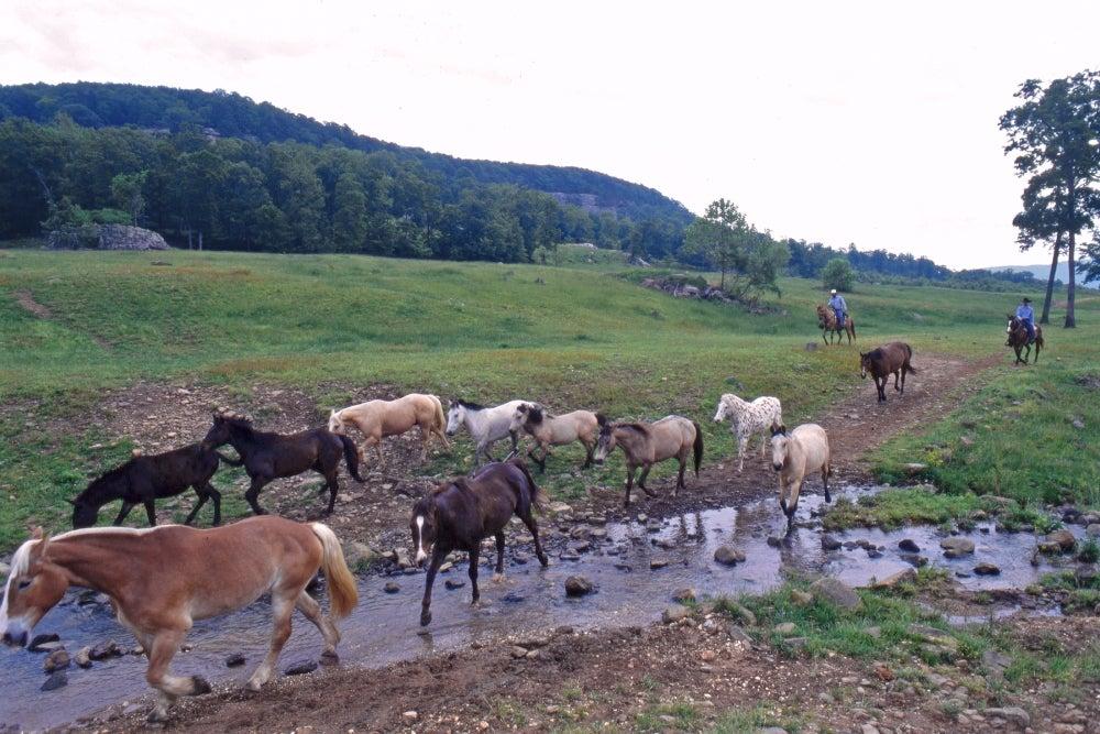 Horseshoe Canyon Ranch