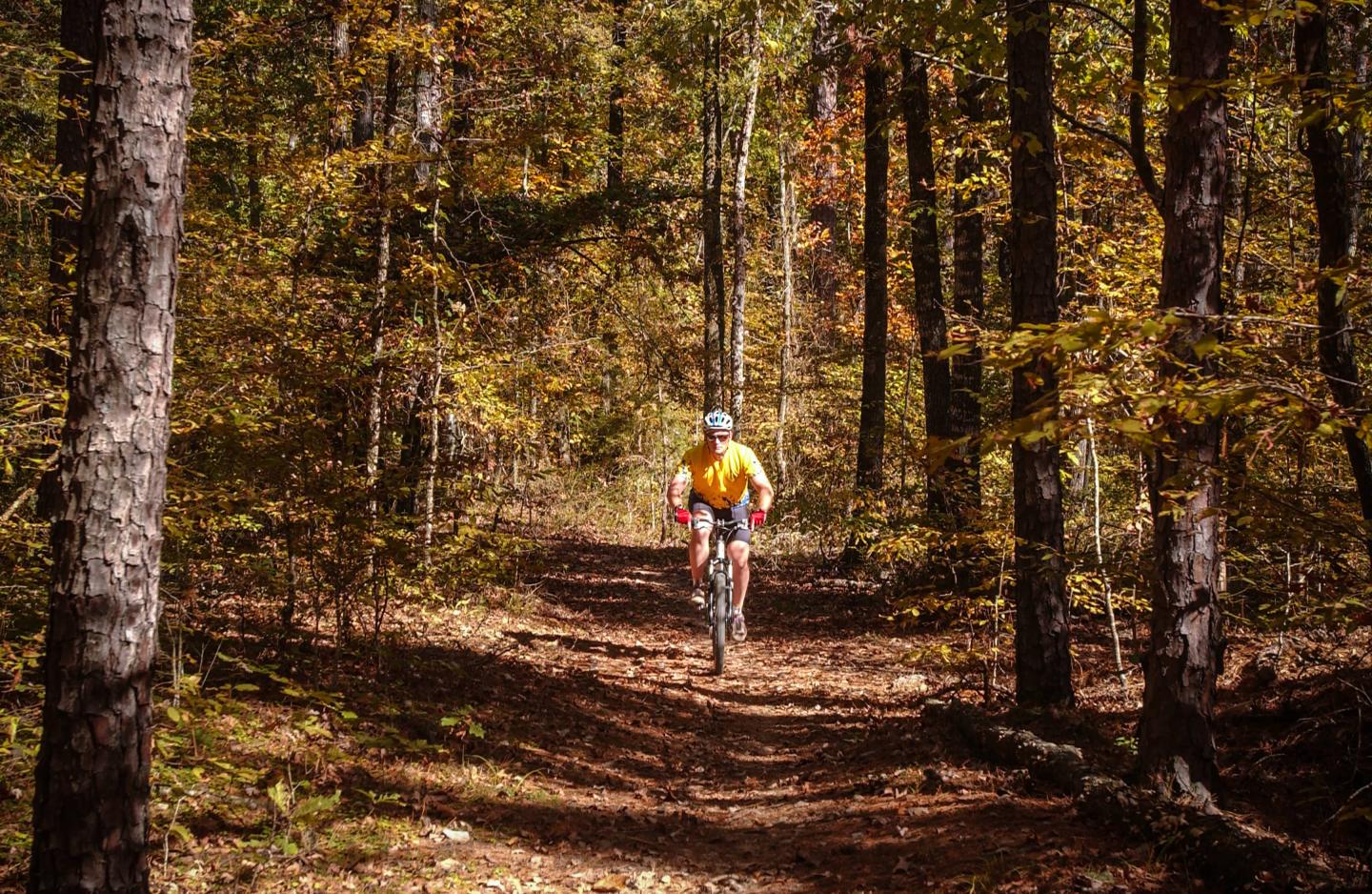 Mountain biking the Womble Trail in the Ouachita National Forest