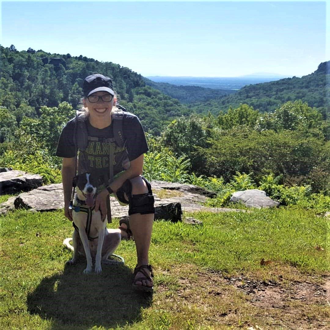 Person with a dog on a grassy hill, overlooking a lush, green valley under clear blue sky.