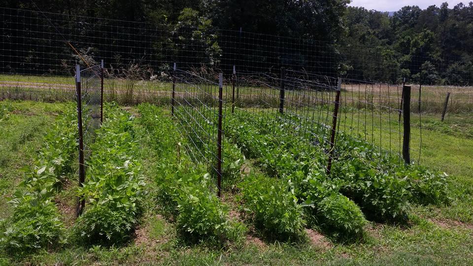 Prestonrose Farm &amp;amp; Brewing Co.