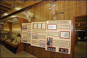 Turner Neal Museum of Natural History