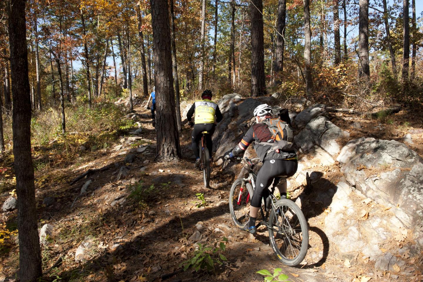Mountain biking the Iron Mountain Trail