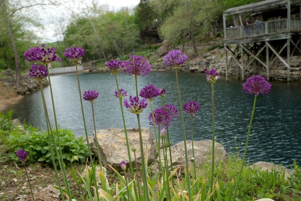 Blue Spring Heritage Center