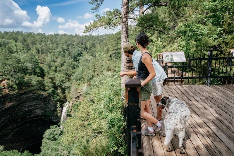 Cedar Falls Overlook