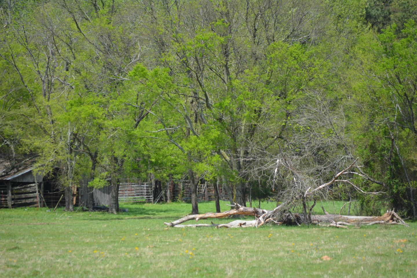 Battle of Prairie D'Ane reenactment